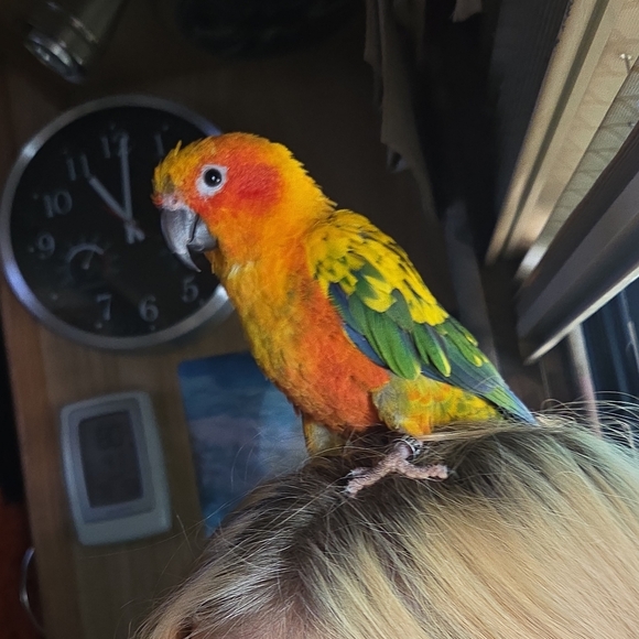 Meet your Posher, Thanh - Picture 9 of 10